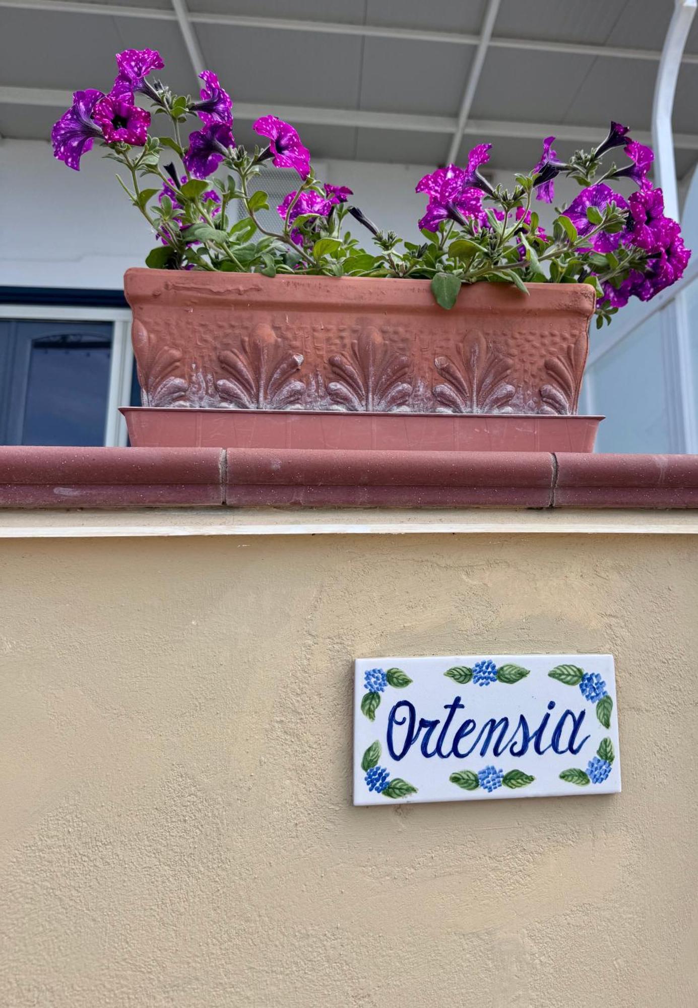 Il Profumo Dei Fiori Apartamento Praiano Exterior foto